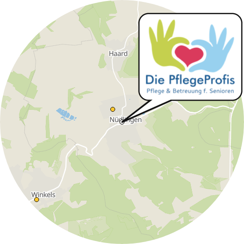 Kartenausschnitt für die Firma Die PflegeProfis UG (haftungsbeschränkt) Pflege & Betreuung für Senioren