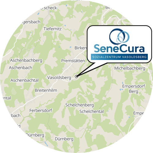 Kartenausschnitt für die Firma SeneCura Sozialzentrum Vasoldsberg