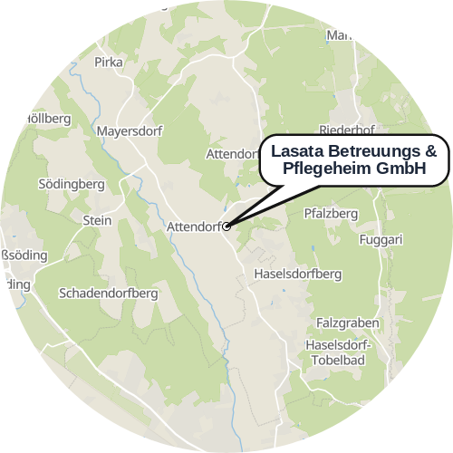 Kartenausschnitt für die Firma Lasata Betreuungs & Pflegeheim GmbH