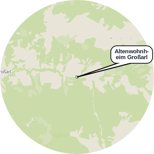 Kartenausschnitt für die Firma Altenwohnheim Großarl