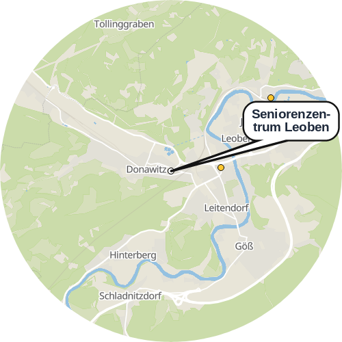 Kartenausschnitt für die Firma Seniorenzentrum Leoben